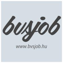 BVSJOB Hungary Kft. BVSJOB Hungary Kft.
