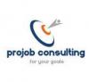 Projob Consulting Bt. 